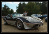Corvette C3 78 Pace Car - 3